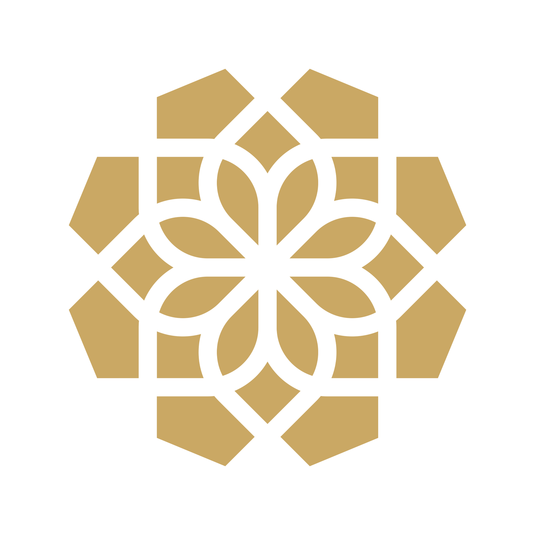 Buddhist Digital Resource Center Fragile Palm Leaves Foundation